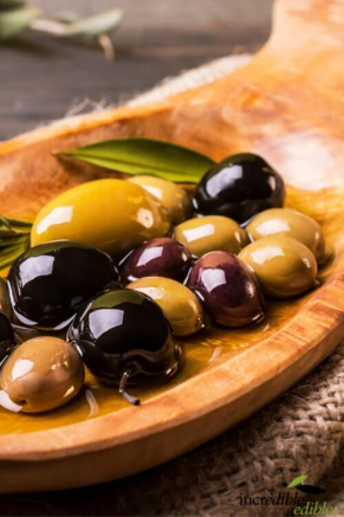 Whole Olives (Edible Olive Fruit) – 1 kg